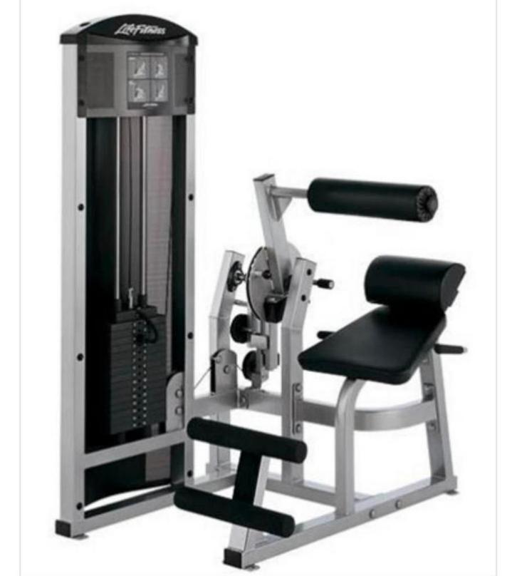 LIFE FITNESS FITSERIE ABDOMINAL / LOWERBACK, Sport en Fitness, Fitnessmaterialen, Zo goed als nieuw, Ophalen of Verzenden