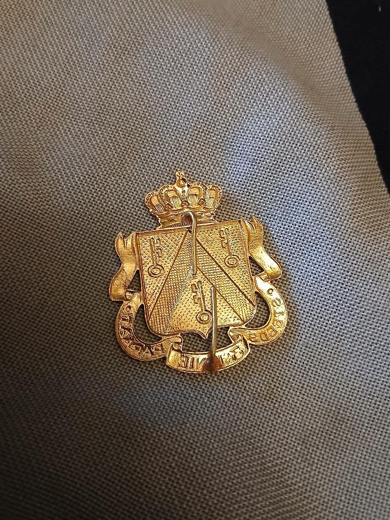 Insigne 3 regiment ligne dore, Enlèvement, Armée de terre