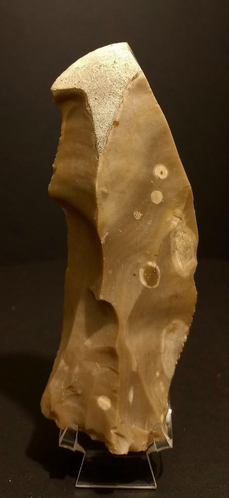 Precolumbiaans stenen mes. 16cm. Haïti. Grotere Antillen