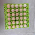 Œufs à incuber, poules, poule de bresse, Sexe inconnu, Poule ou poulet