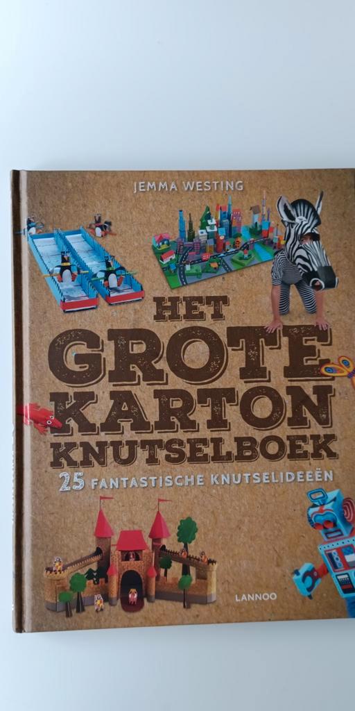 Jemma Westing - Het grote karton knutselboek, Boeken, Kinderboeken | Jeugd | onder 10 jaar, Nieuw, Ophalen of Verzenden