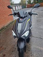 GTS  sportivo klasse A Amper 1 maand jong VERKOCHT, Ophalen