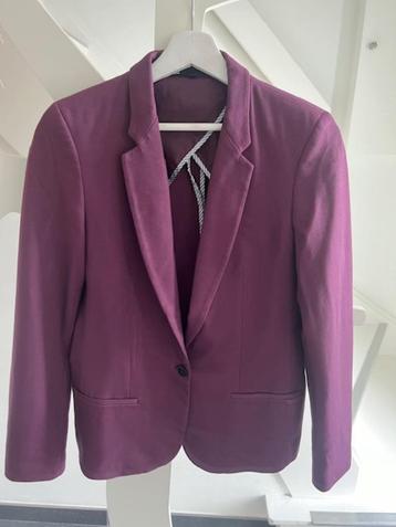 blazer bordeaux WE taille M New