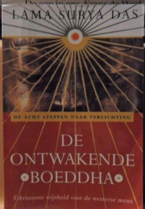 Ontwakende Boeddha, Lama Surya Das, Boeken, Esoterie en Spiritualiteit, Zo goed als nieuw, Verzenden