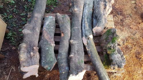Olijfhout draaihout,epoxy 30kg, Tuin en Terras, Palen, Balken en Planken, Ophalen of Verzenden