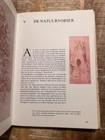Leonardo Da Vinci - Jay Williams en Bates Lowry, Ophalen of Verzenden, Gelezen, Jay Williams en Bates Low, Kunst en Cultuur