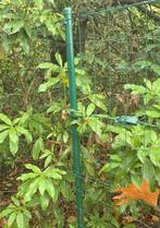 🔺️TE KOOP +- 80m draad en 27 palen  van 34 x 2000🔺️, Ophalen