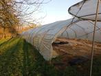 Broeikastunnel voor moestuinieren, Ophalen, Vollegrondsgroente, Weidebouw