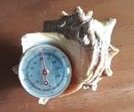 Schelp met compas., Ophalen of Verzenden