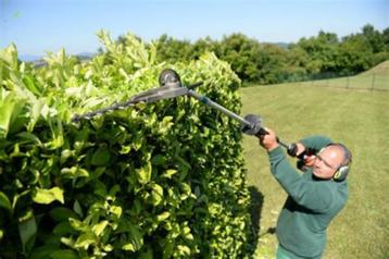 Service tailles de haie, élagage, débroussaillage,jardinage