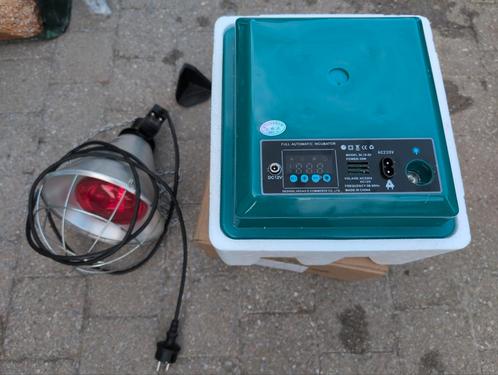 Broedlamp + incubator, Dieren en Toebehoren, Pluimvee | Toebehoren, Zo goed als nieuw, Ophalen of Verzenden