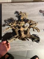 Aquarium bonsai op steen, Dieren en Toebehoren, Vissen | Aquaria en Toebehoren, Ophalen, Zo goed als nieuw, Sierelement