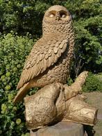 (Tuin)Beeld uil, goud, tuin, gazon, bos, 80cm, Ophalen, Nieuw, Kunststof, Dierenbeeld