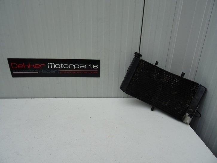 Radiateur / Radiator Honda CBR900RR Fireblade 1996-1997 SC33, Motoren, Onderdelen | Honda, Gebruikt, Ophalen of Verzenden