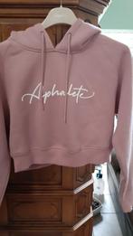 2 pulls roses Alphalete crop hoodie & Only S, Vêtements | Femmes, Pulls & Gilets, Neuf, Enlèvement ou Envoi, Rose, Taille 36 (S)