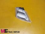 DAF Interieurlamp instapkuip (kopie) - 2296124N Interieurlam, Gebruikt, DAF, Overige Auto-onderdelen