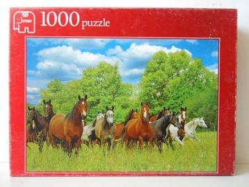 Puzzel - Wilde paarden in de wei  - 1000 stuks beschikbaar voor biedingen