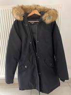 Nieuwe marine Canadian Peak parka mt S - nooit gedragen!, Ophalen, Zo goed als nieuw, Maat 36 (S), Zwart