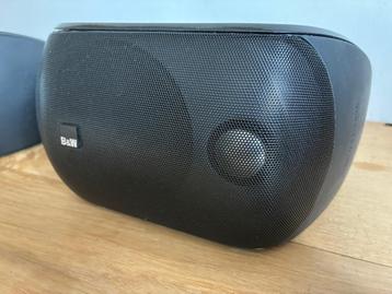 B&W M1 - 100 Watt 8 Ohm beschikbaar voor biedingen