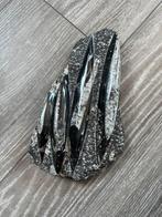 Fossiele Orthoceras, Verzamelen, Mineralen en Fossielen, Ophalen of Verzenden, Fossiel