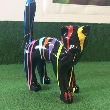 Poes zwart met gekleurde strepen druppels zwarte kat beschikbaar voor biedingen