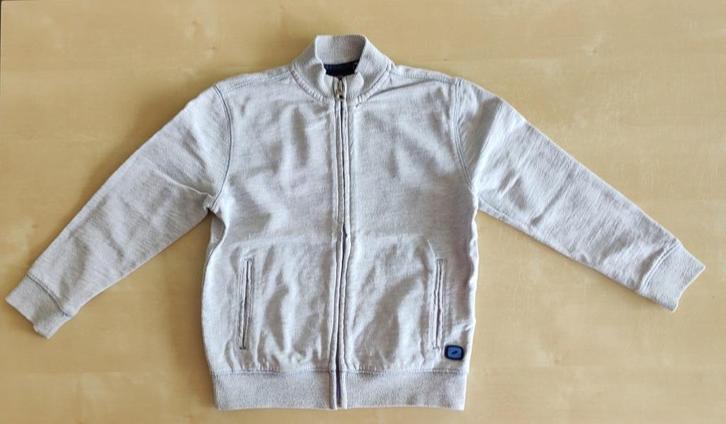 Lichtgrijs vest Rox, maat 110, Kinderen en Baby's, Kinderkleding | Maat 110, Gebruikt, Jongen, Trui of Vest, Ophalen of Verzenden