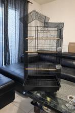 Cage oiseaux, Animaux & Accessoires, Enlèvement, Comme neuf