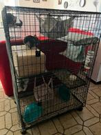 Grande cage a vendre, Animaux & Accessoires, Enlèvement, Utilisé