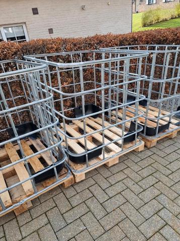 Ibc kooi op houten pallet  beschikbaar voor biedingen