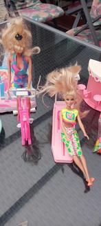 Barbie fitness, Enlèvement