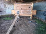 Poulailler pour minimum 8 poules avec porte automatique, Enlèvement, Utilisé, Poulailler