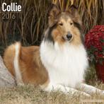 Calendrier Colley 2016, Envoi, Calendrier annuel, Neuf