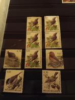 Postfris lotje Belgische zegels vogels buzin, Postzegels en Munten, Ophalen of Verzenden