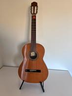akoestische gitaar raimundo 104 B, Muziek en Instrumenten, Snaarinstrumenten | Gitaren | Akoestisch, Ophalen of Verzenden, Zo goed als nieuw