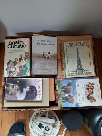 Livres/fictions en néerlandais (une boîte pleine)