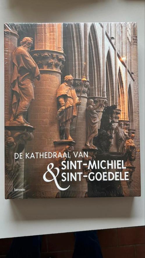 De kathedraal van Sint-Michiel en Sint-Goedele, Boeken, Kunst en Cultuur | Architectuur, Nieuw, Architectuur algemeen, Ophalen of Verzenden