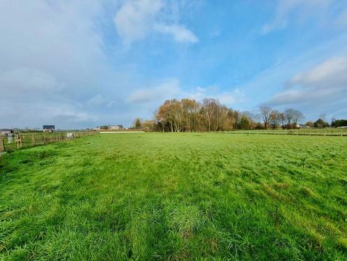 Huis te koop in Zingem, 3 slpks, Immo, Huizen en Appartementen te koop, Vrijstaande woning, E