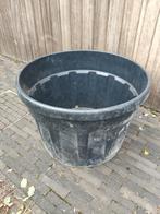 Boomcontainer groot formaat 76cm diameter, Tuin en Terras, Bloembakken en Plantenbakken, Ophalen, Gebruikt, Kunststof