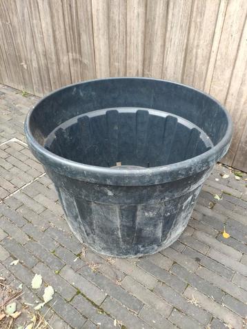 Boomcontainer groot formaat 76cm diameter  beschikbaar voor biedingen