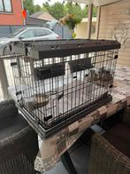 Honden bench, Dieren en Toebehoren, Hondenhokken, Ophalen, Zo goed als nieuw