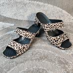 Vital dames slippers muiltjes in luipaardprint maat 41, Kleding | Dames, Slippers, Ophalen