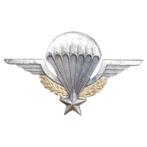 Franse para-wing, Verzamelen, Ophalen of Verzenden, Landmacht, Embleem of Badge