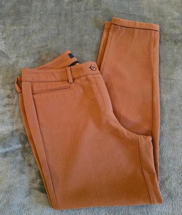 Broek dames beschikbaar voor biedingen