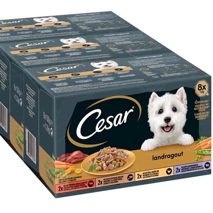 Honden eten, Dieren en Toebehoren, Dierenvoeding, Hond, Ophalen