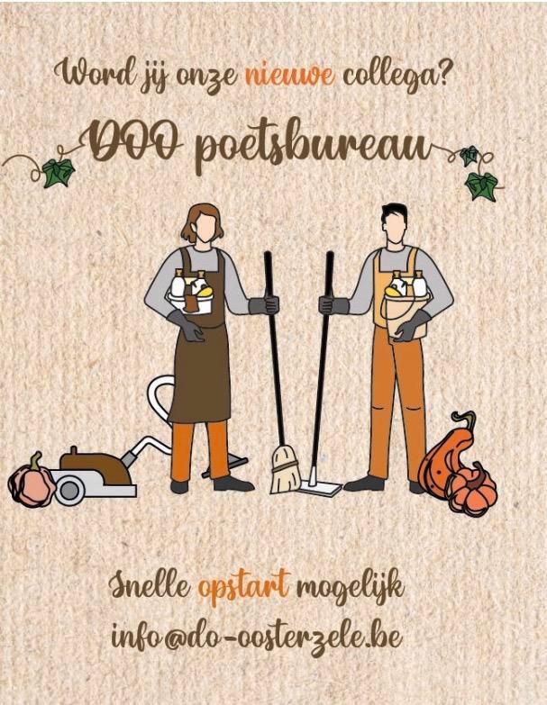VACATURE  poetshulpen m/v/x regio OOSTERZELE, Vacatures, Vacatures | Thuiswerk, Starter, Vast contract, Geschikt als bijbaan, Variabele uren