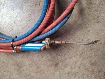 Autogeen labrander  beschikbaar voor biedingen
