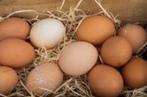 Verse eieren. 100%bio, Dieren en Toebehoren, Pluimvee