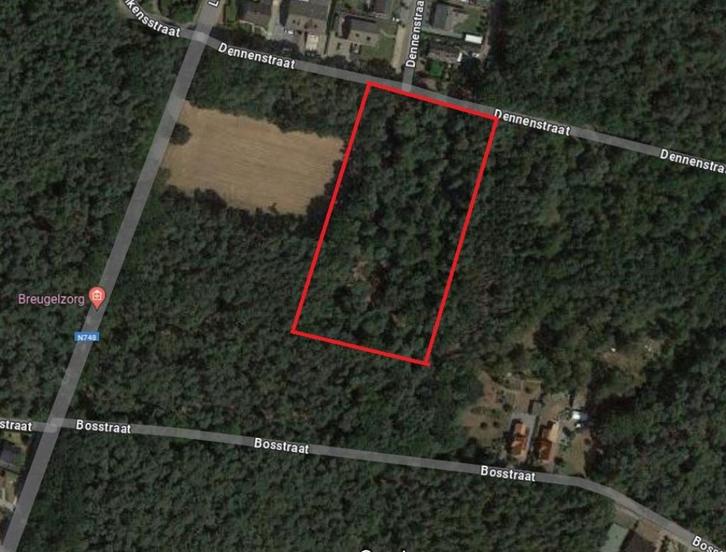 Bos te koop prachtig perceel van 0,8 ha, Immo, Gronden en Bouwgronden, 1500 m² of meer