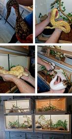 4 terrariums complets avec 4 PR, Ophalen