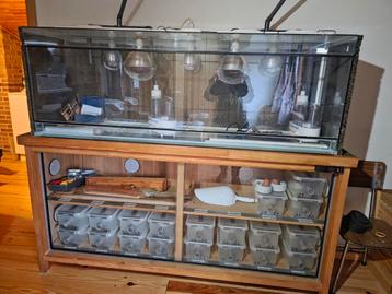 Terrariums, Animaux & Accessoires, Enlèvement, Comme neuf